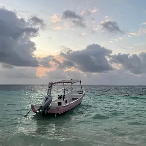 https://homes-jungle-15-minutes-from-the-airport.quintano-roohotels.com